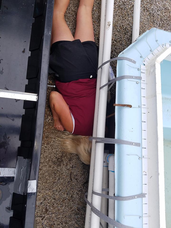 Who said this job was easy? Kristie is seen here connecting her return lines to the plumbing lines. Return lines are the components that jut through the pool wall and return water to the swimming pool. We seal these lines off with silicone to ensures we create a 100% water proof barrier.